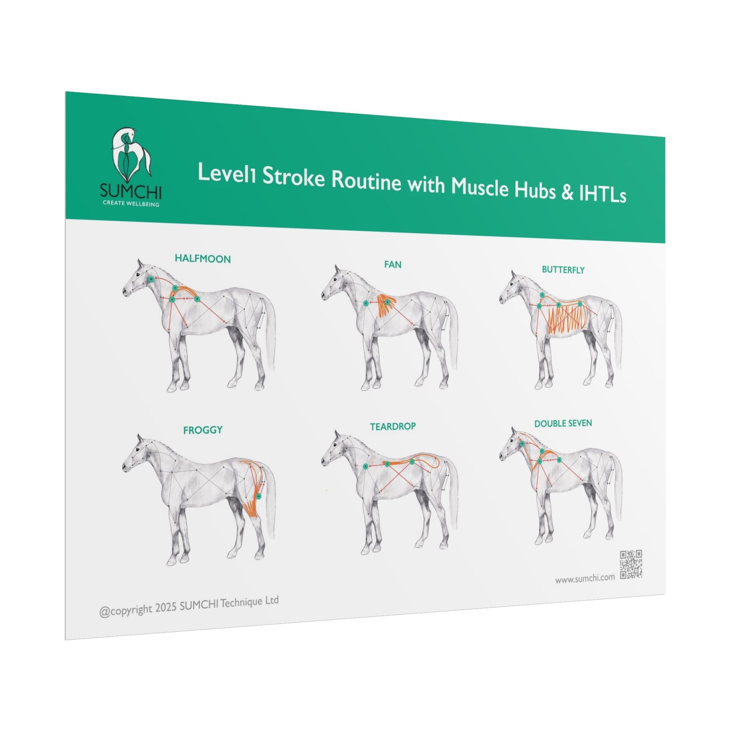SUMCHI Level1 Stroke Routines — Green (Rolled Poster)