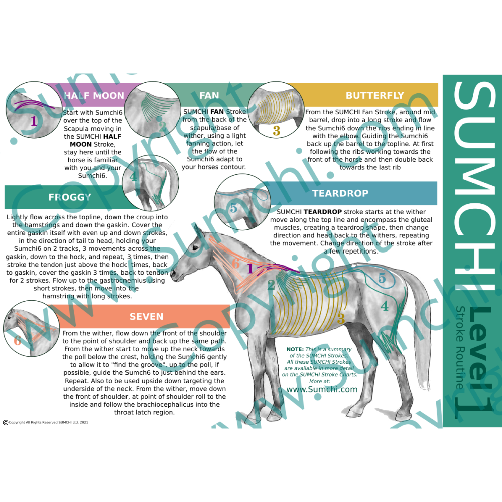 SUMCHI Level 1 Poster - A3