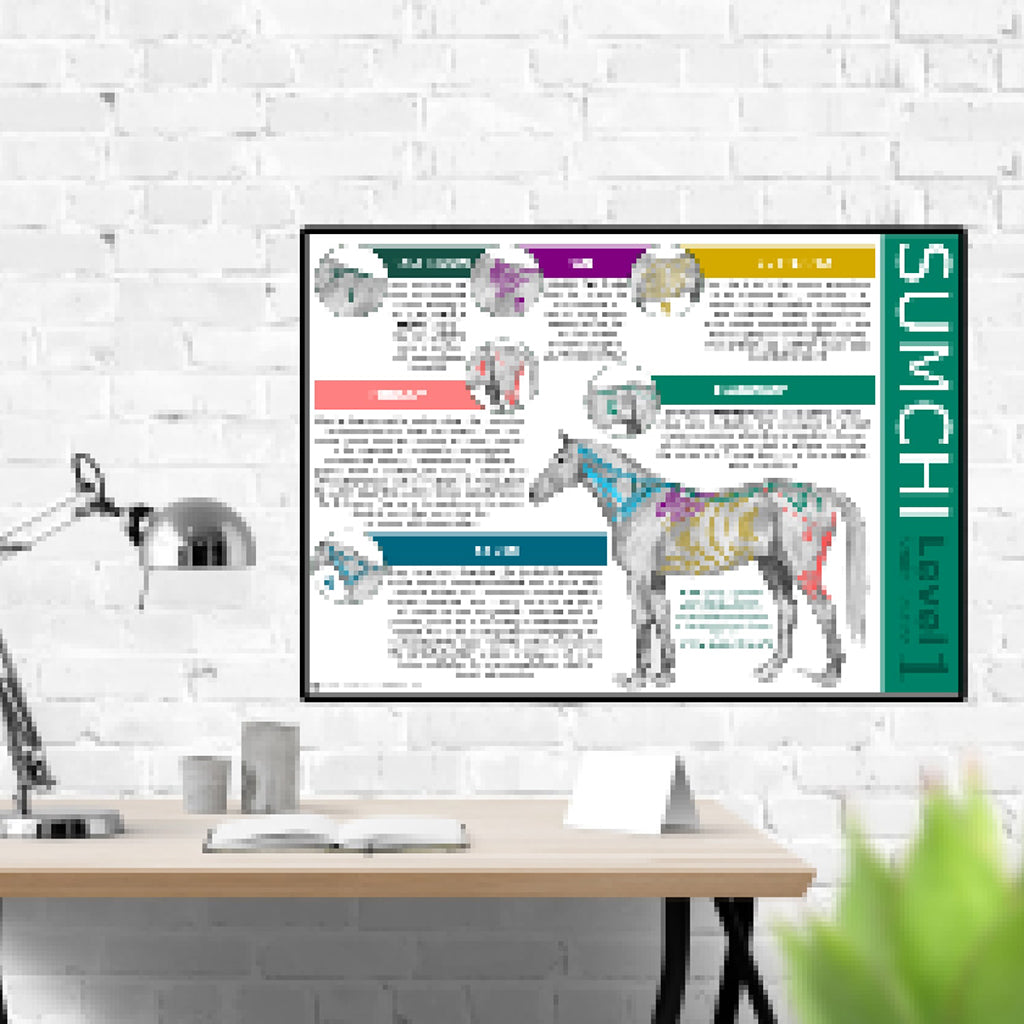 SUMCHI Level 1 Poster - A3