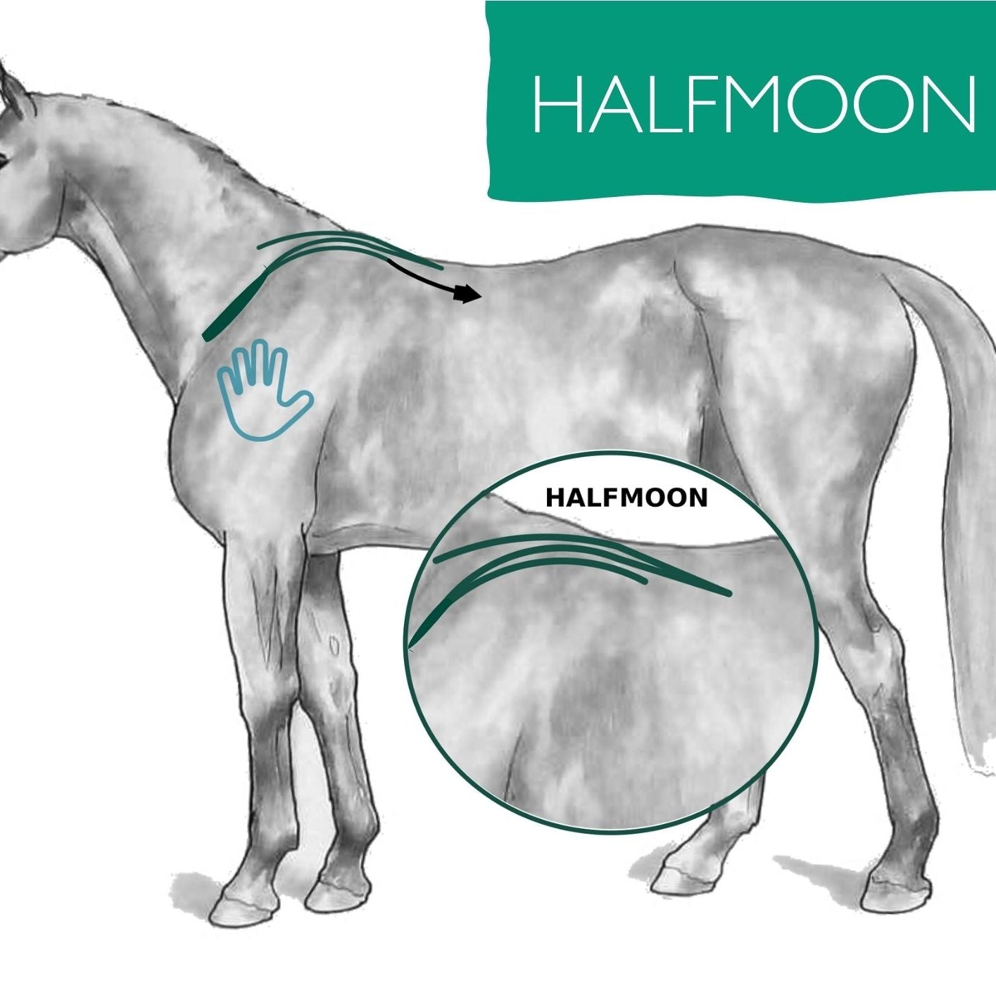 SUMCHI Level 2 Workbook - SUMCHI