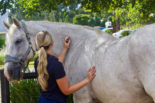 Foundations of SUMCHI - Chapter 3: The Horse’s Skin