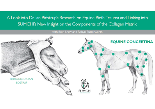Birth Trauma in Foals and Potential Impacts on Behavior and Performance