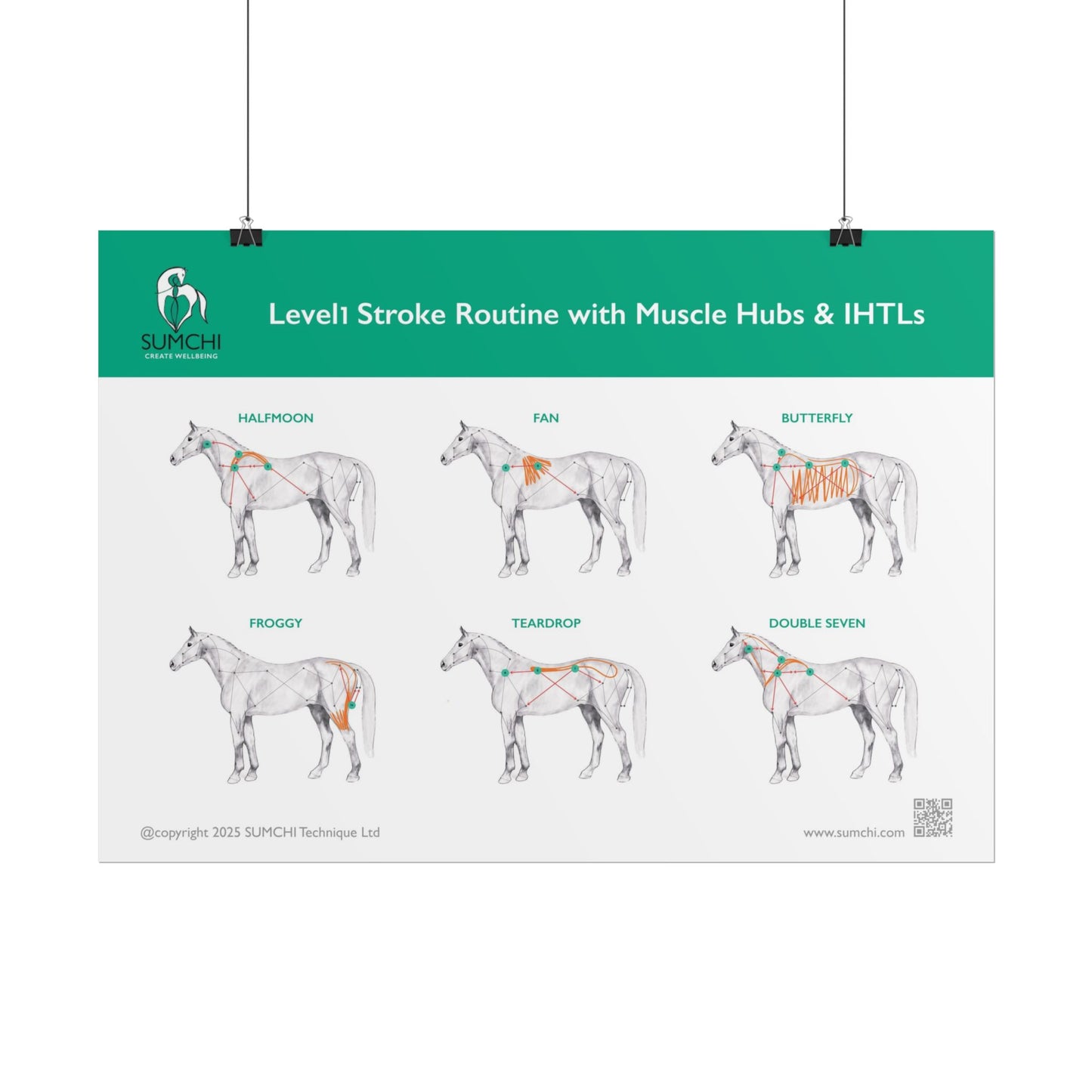SUMCHI Level1 Stroke Routines — Green (Rolled Poster)