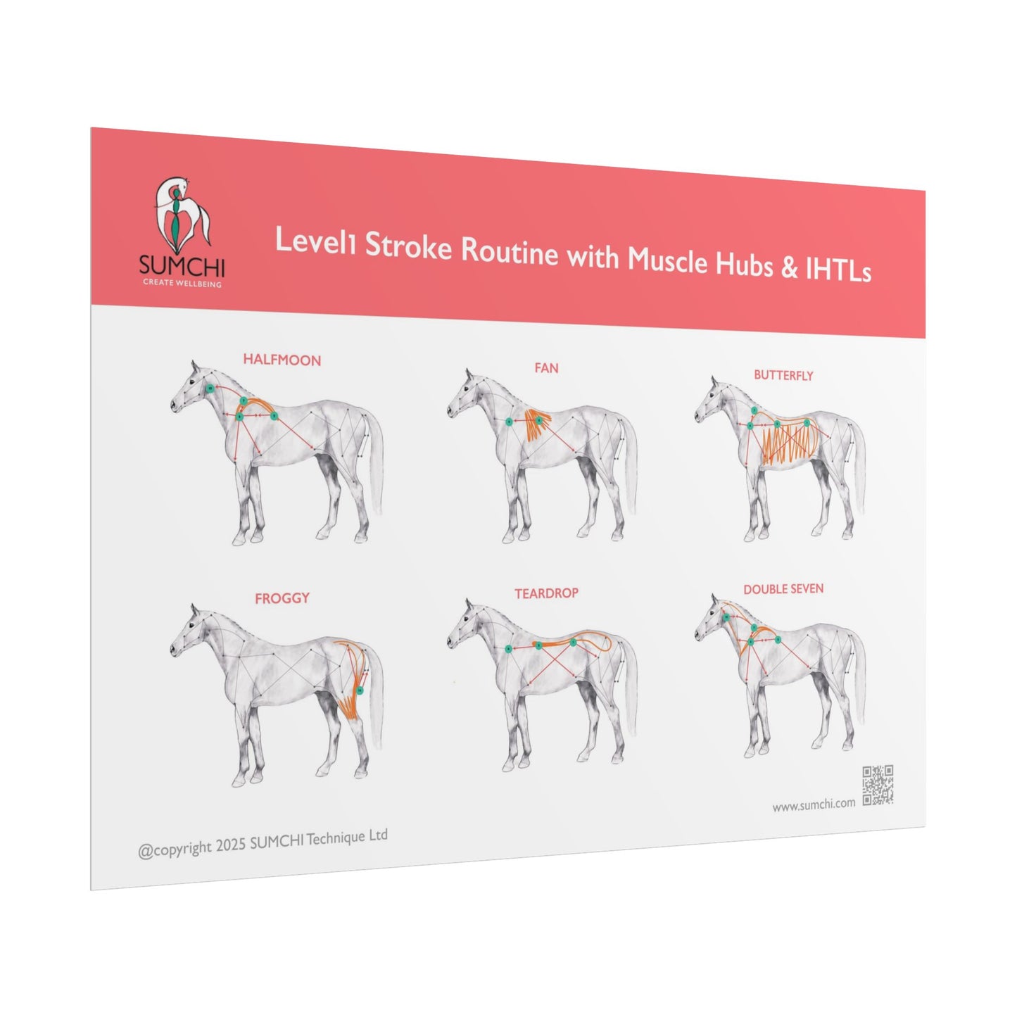 SUMCHI Level1 Stroke Routines — Red (Rolled Poster)