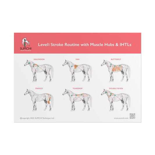 SUMCHI Level1 Stroke Routines — Red (Rolled Poster)