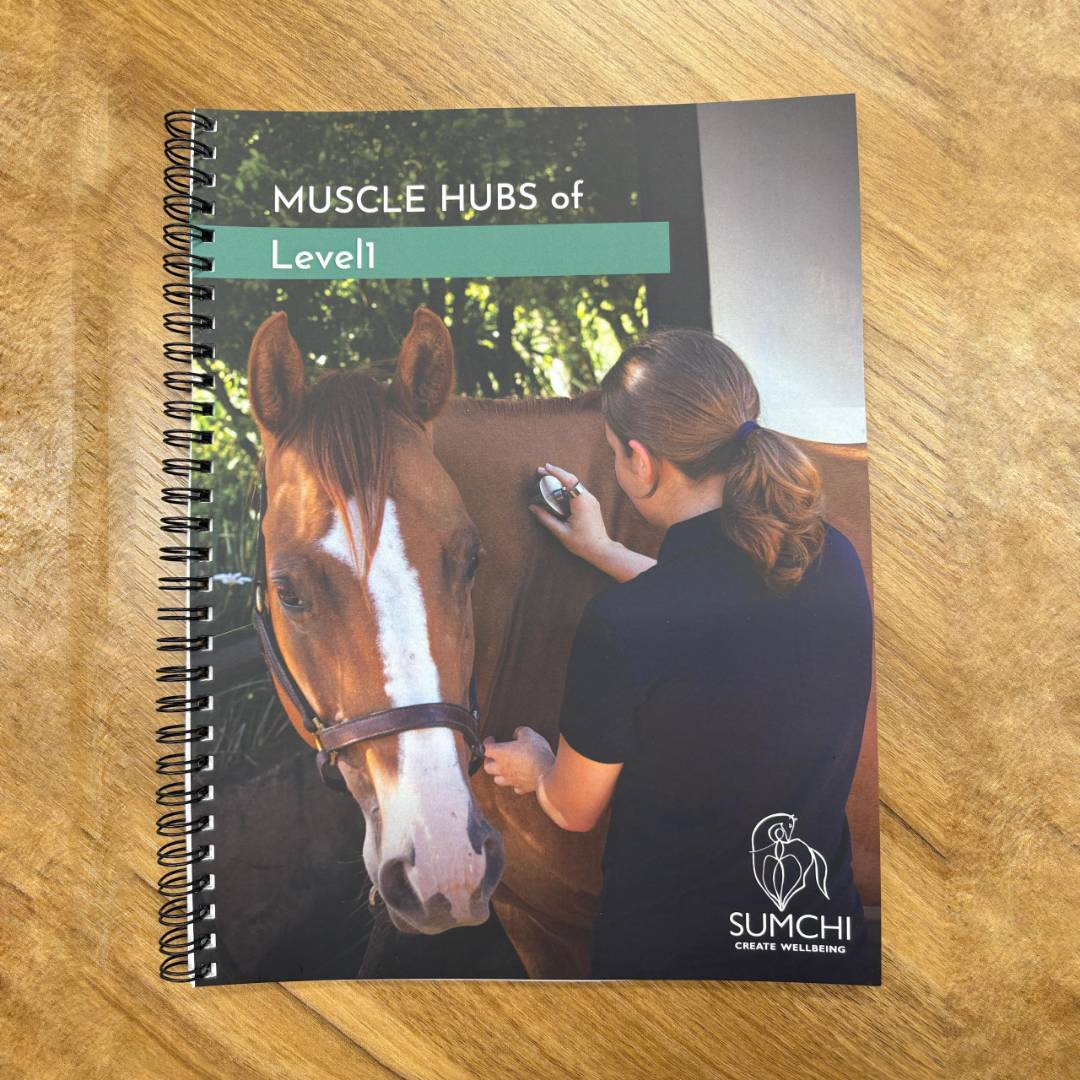 MUSCLE HUBS of Level1