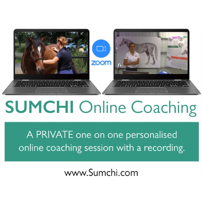 SUMCHI-membership-badge-2 11-min